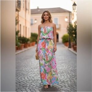 Lilly Pulitzer for Target Nosey Posey Maxi Dress Size Medium
